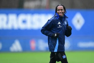 Adedire Mebude kimdir