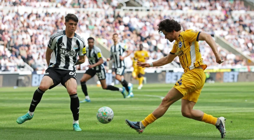Newcastle United'dan Hayat Öpücüğü: Brighton'ı 3-1 ile Geçtiler